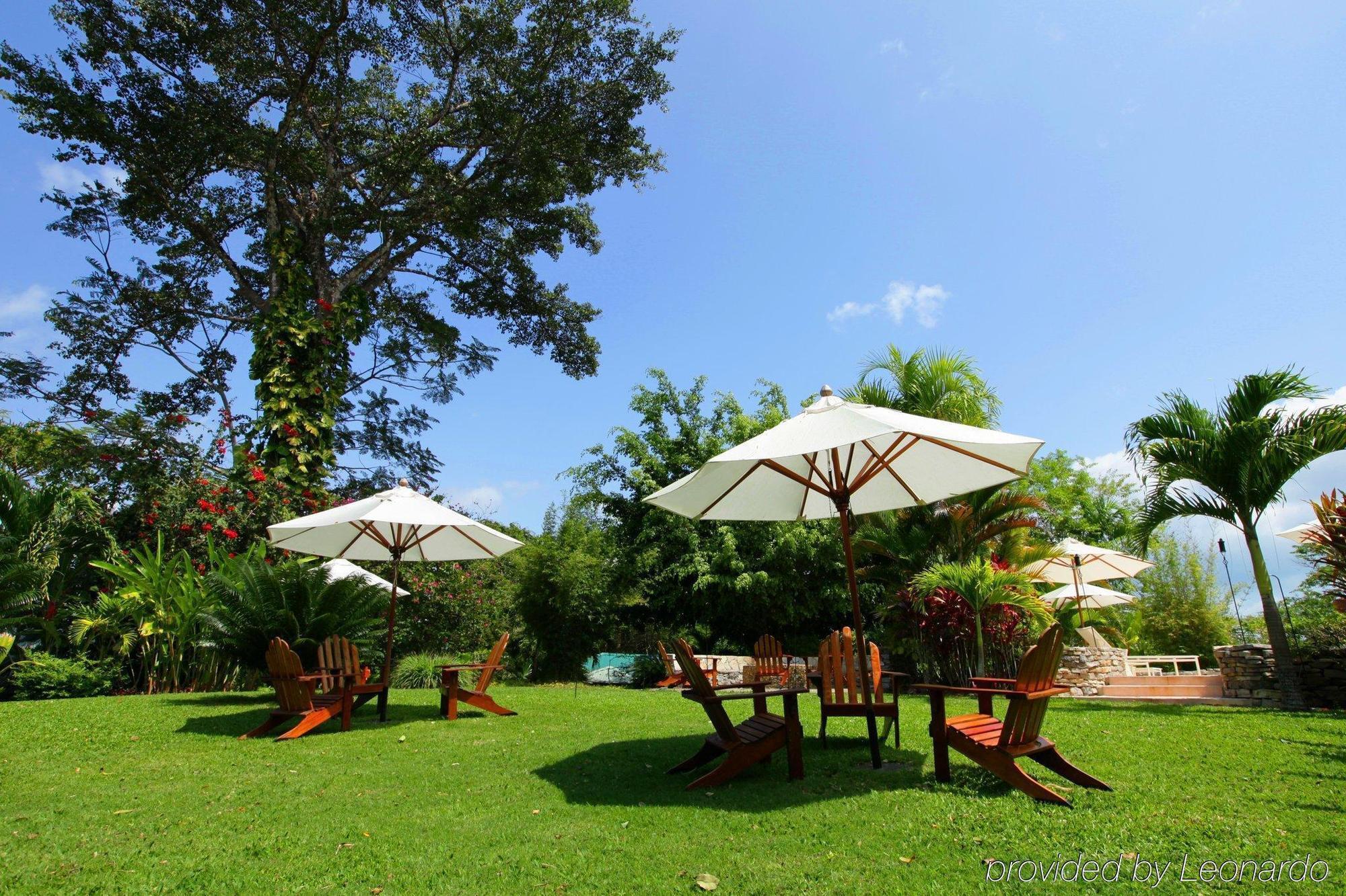 פונטה גורדה Machaca Hill Rainforest Canopy Lodge מראה חיצוני תמונה