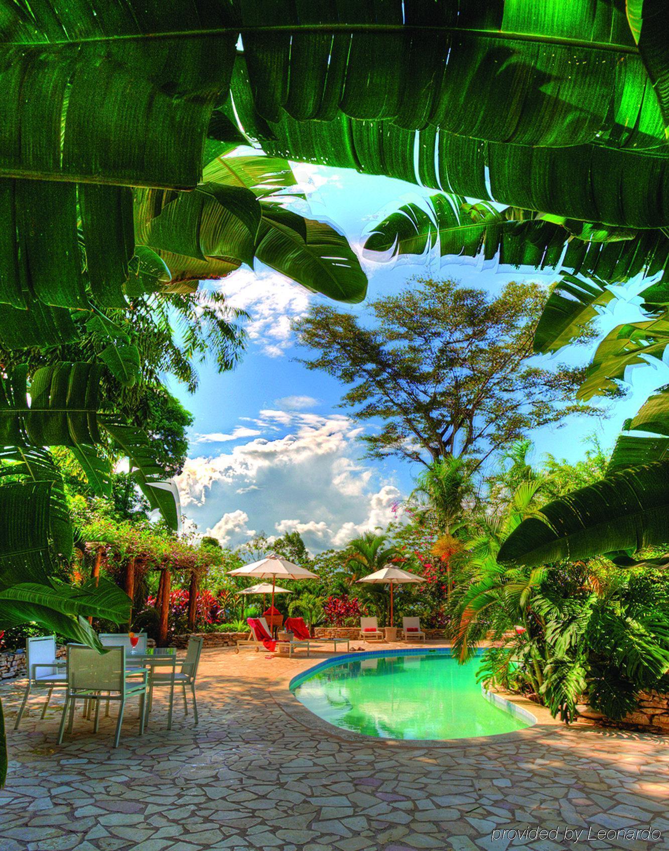 פונטה גורדה Machaca Hill Rainforest Canopy Lodge מראה חיצוני תמונה