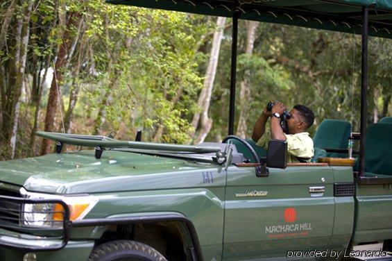 פונטה גורדה Machaca Hill Rainforest Canopy Lodge מראה חיצוני תמונה