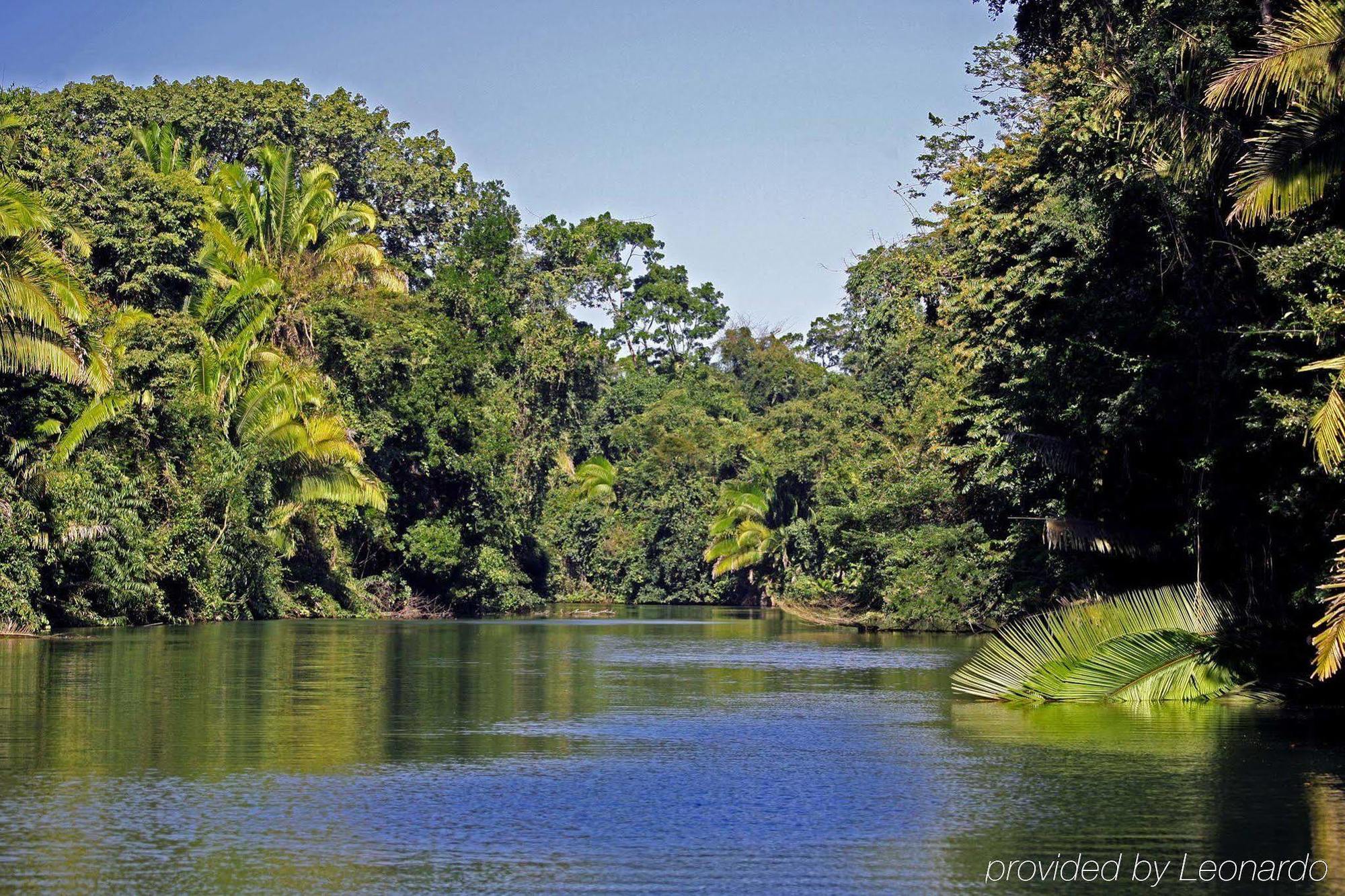 פונטה גורדה Machaca Hill Rainforest Canopy Lodge מראה חיצוני תמונה