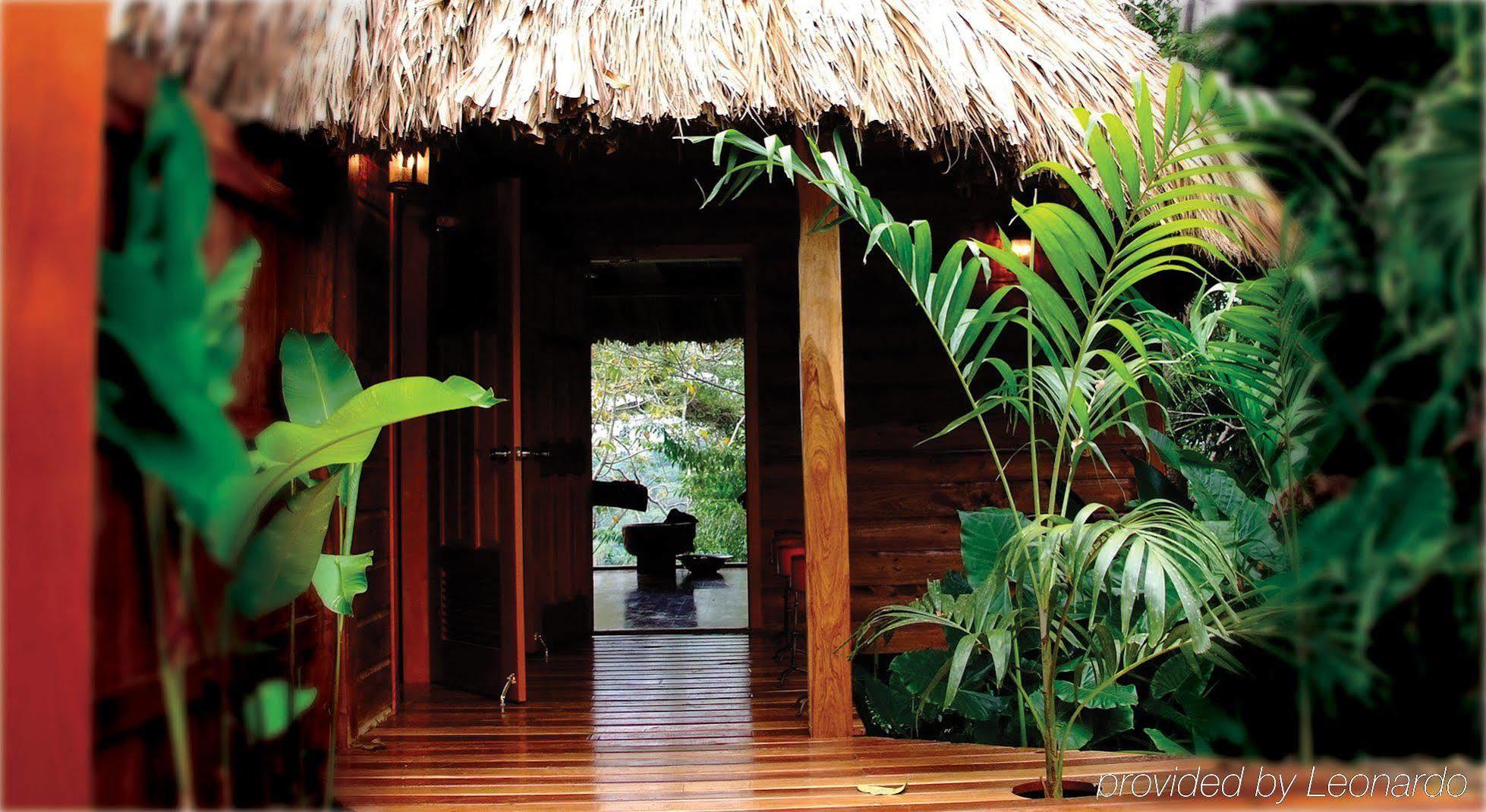 פונטה גורדה Machaca Hill Rainforest Canopy Lodge מראה חיצוני תמונה